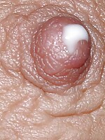 pregnant cuckold women